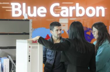 Rizhao: Un mercado lleno de oportunidades